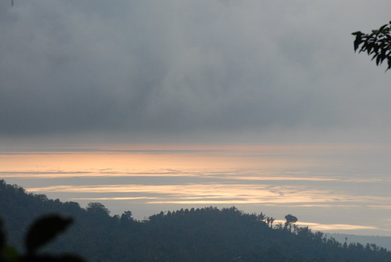 DSC_0423.JPG