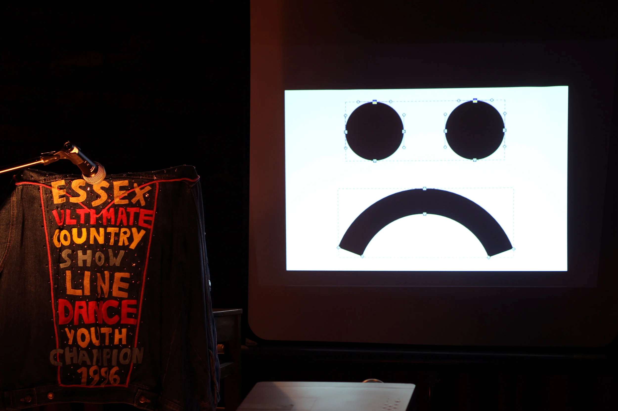 Amateur Cowboy, performance with denim jacket covered in rhinestones and slideshow, 2013 (13).jpg