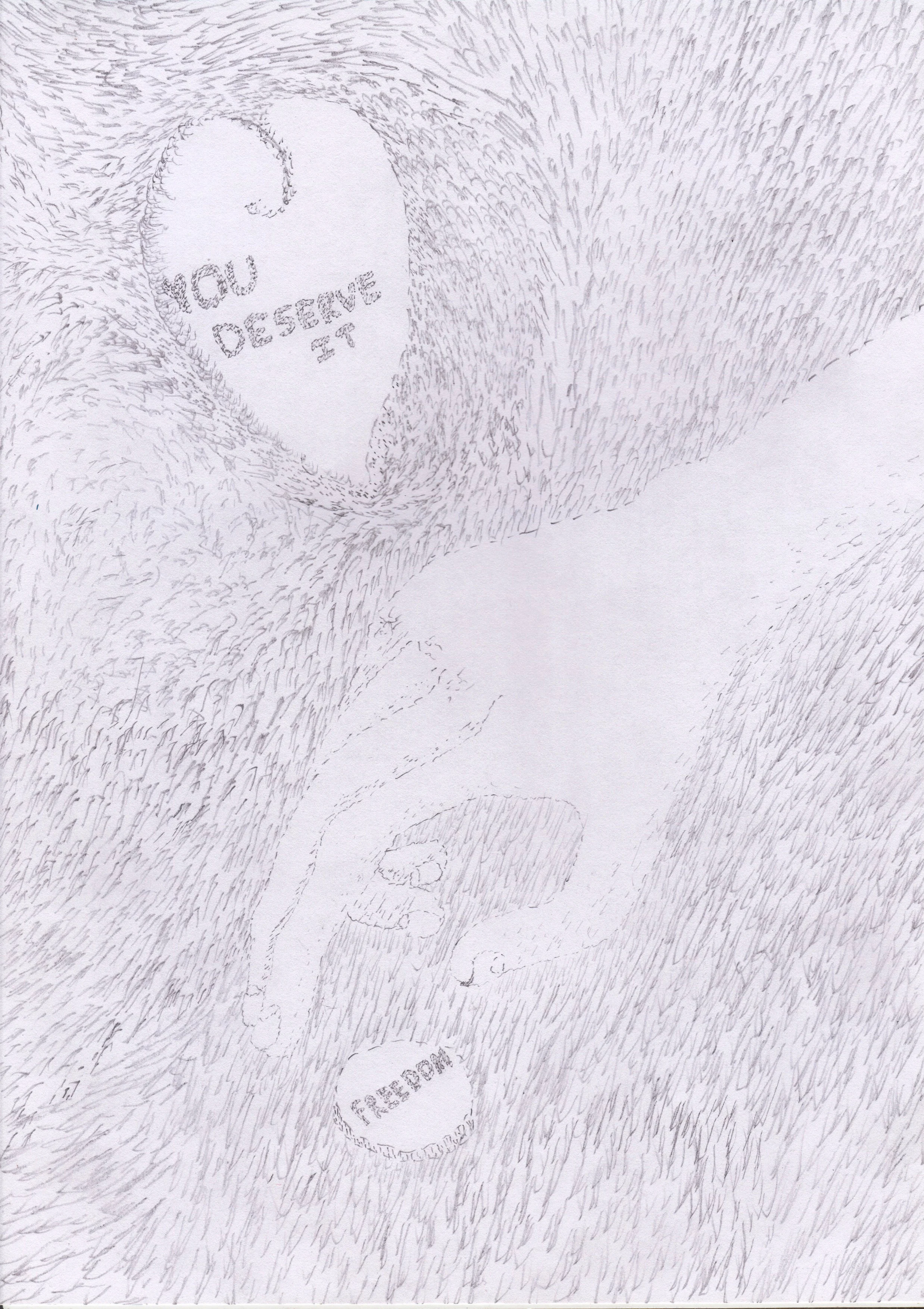 Freedom, You Deserve It, pencil on paper, 2015.jpg