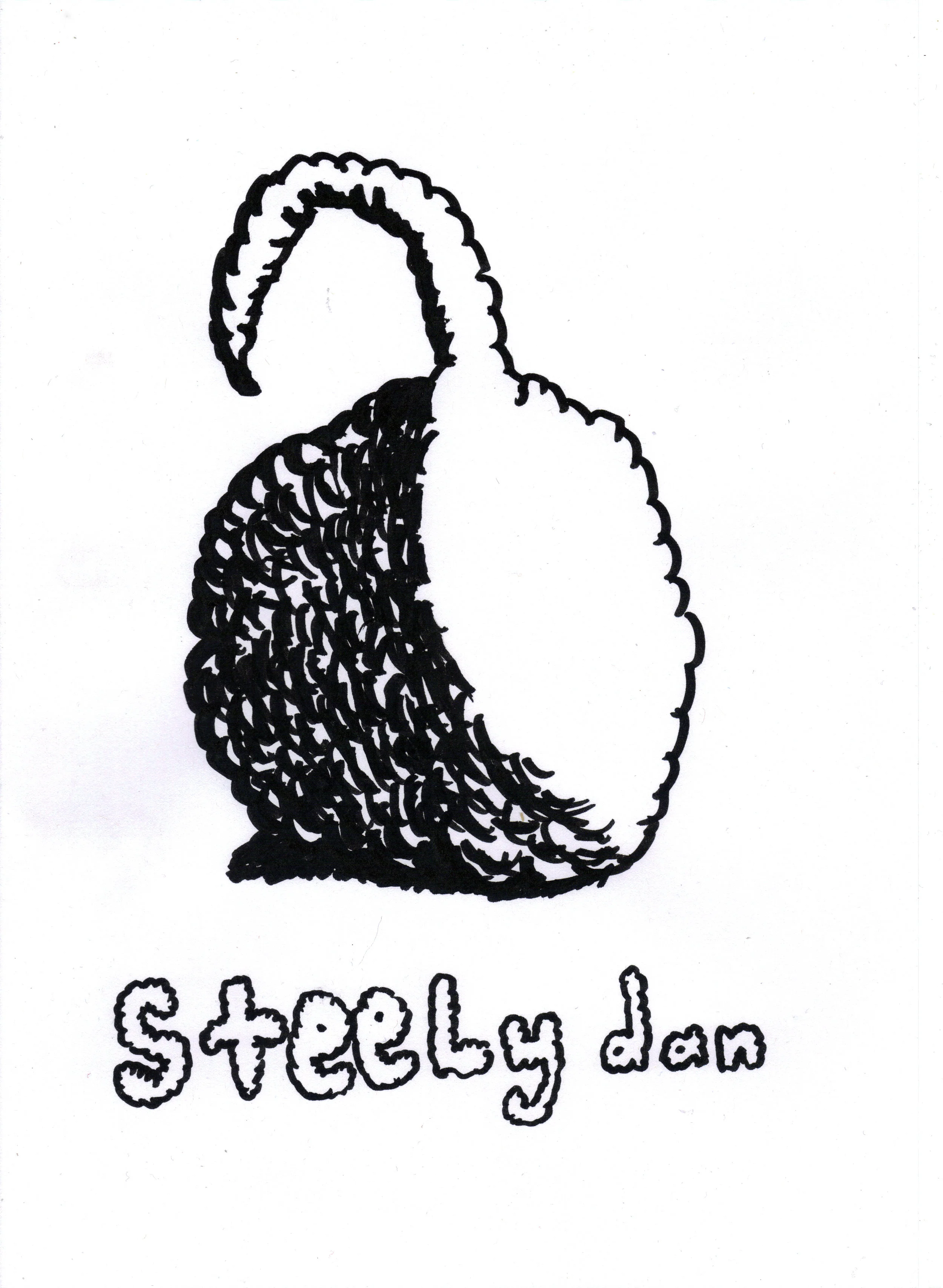 Steely Dan Object, pen on paper, 2014.jpg