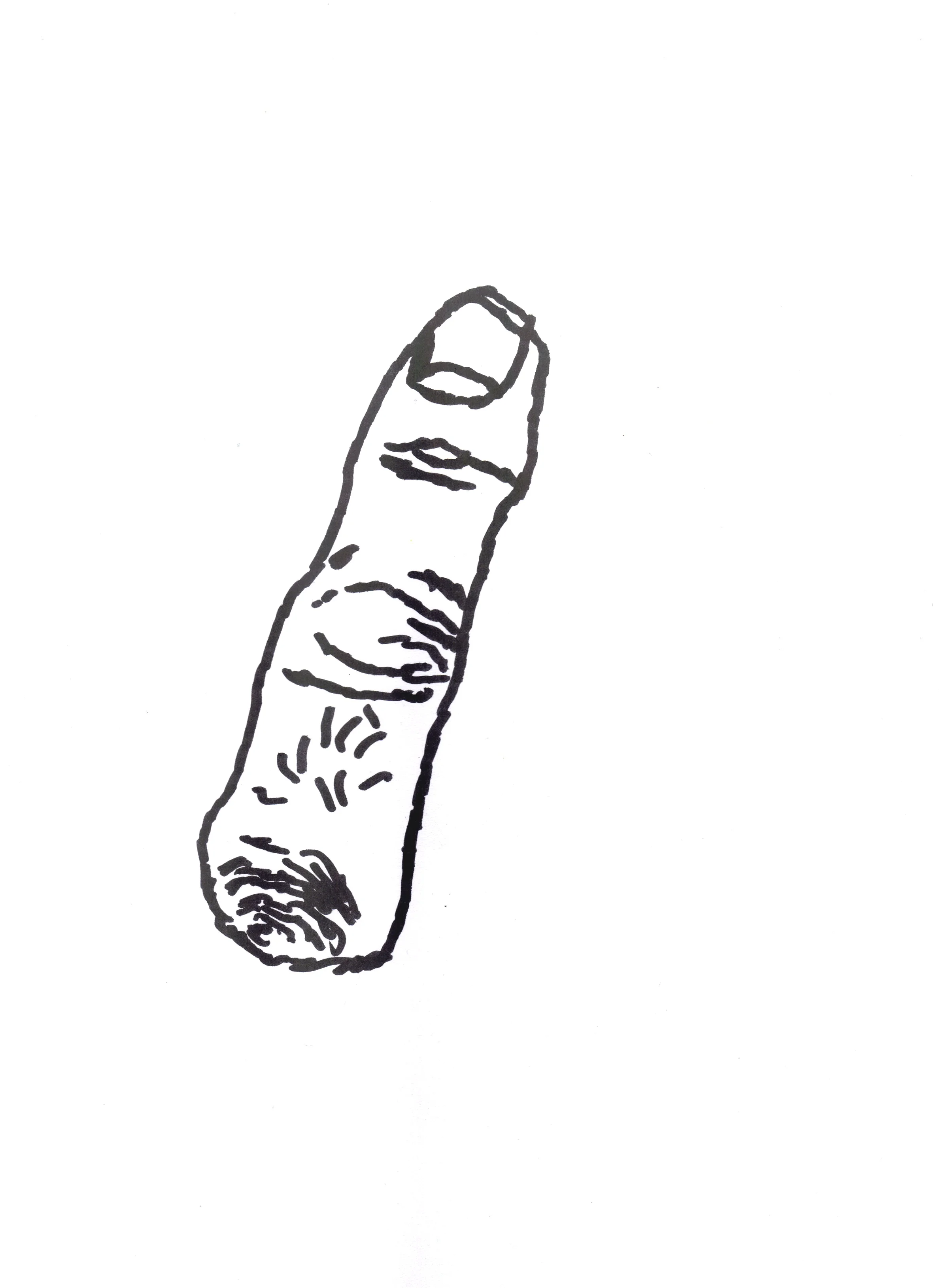 Fingerbob 1, pen on paper,2012.jpg