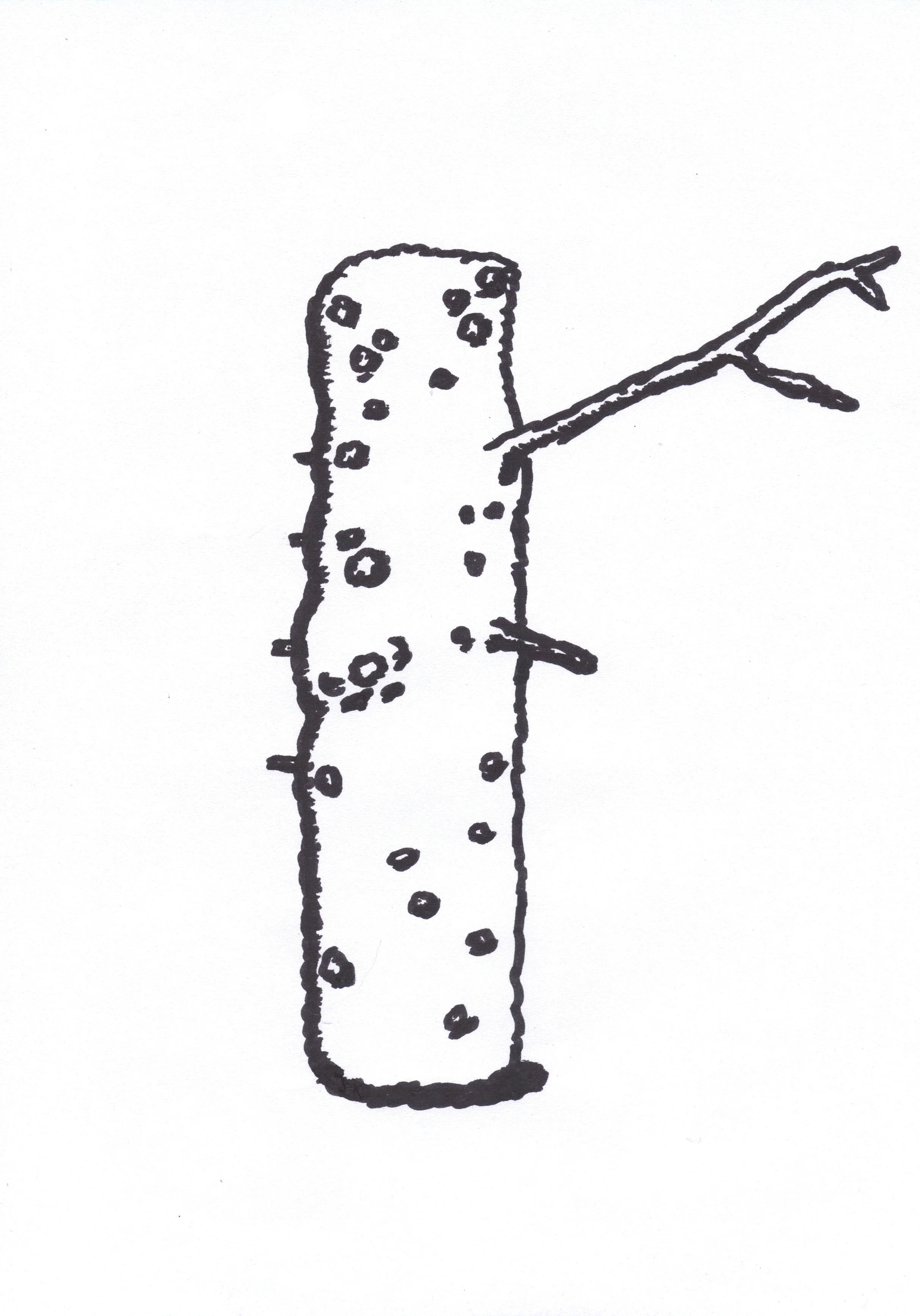 Tree 2, pen on paper, 2012.jpg