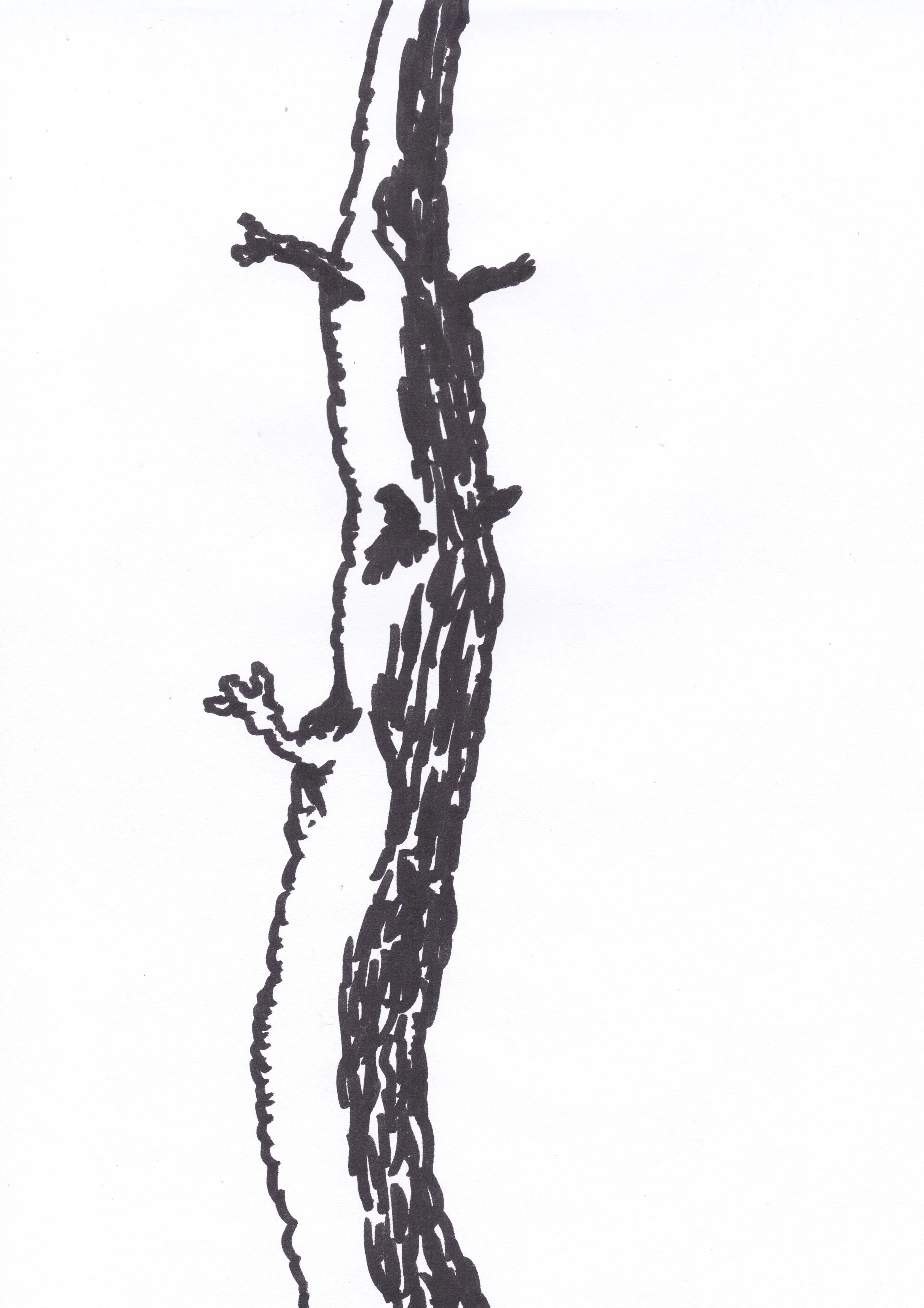 Tree, pen on paper, 2012.jpg