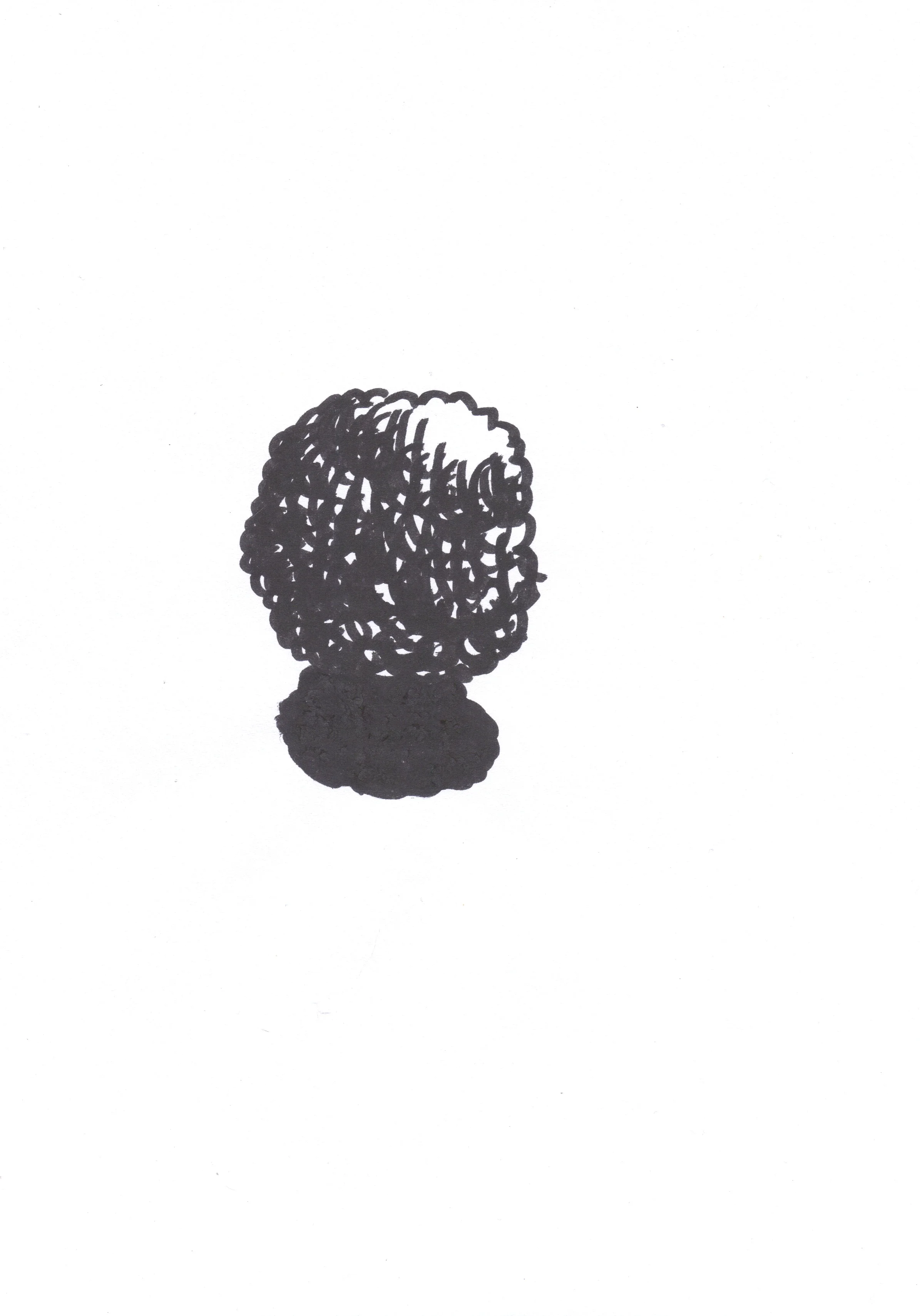 Lit Ball, pen on paper, 2012.jpg