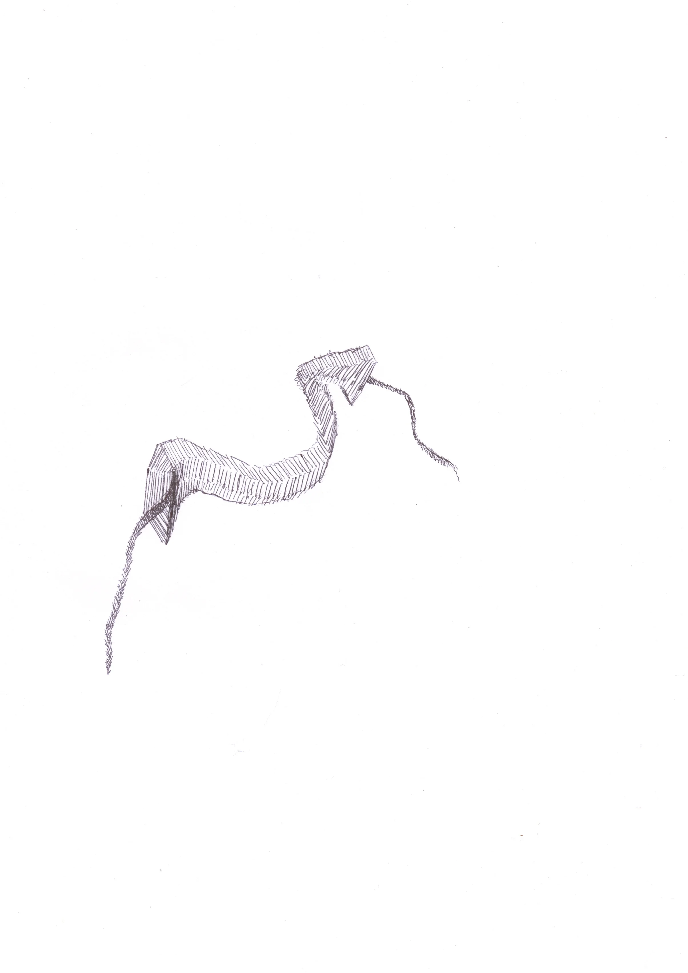 Flossed Tube, biro on paper, 2012.jpg