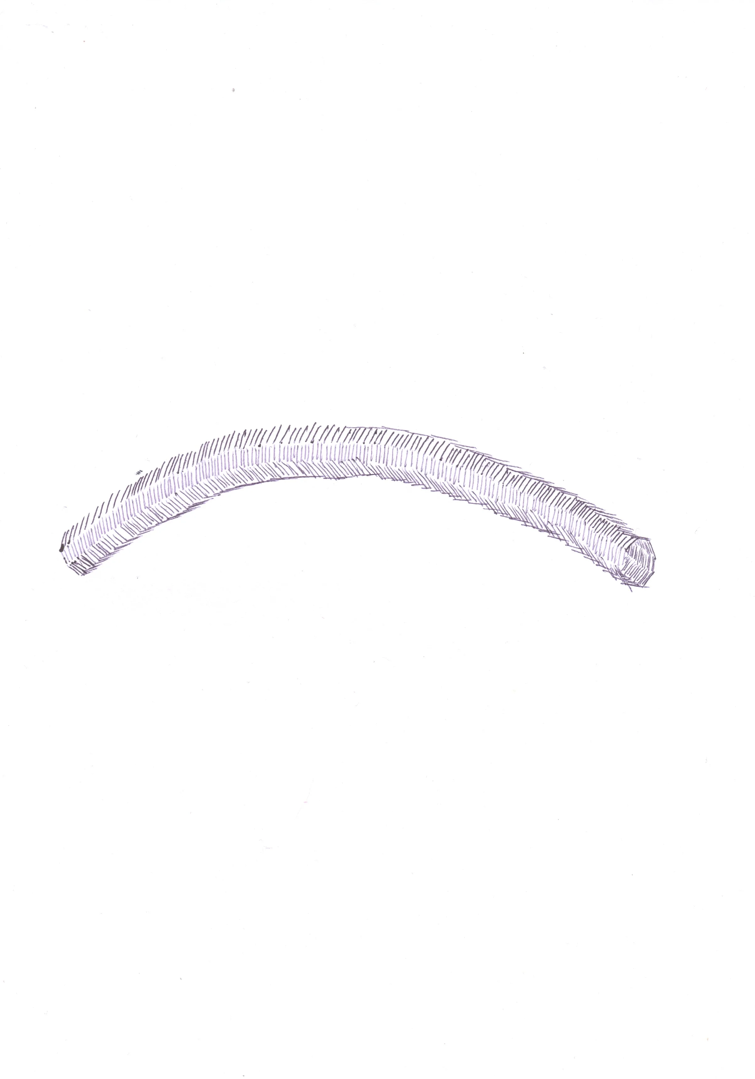 Tube, biro on paper, 2012.jpg