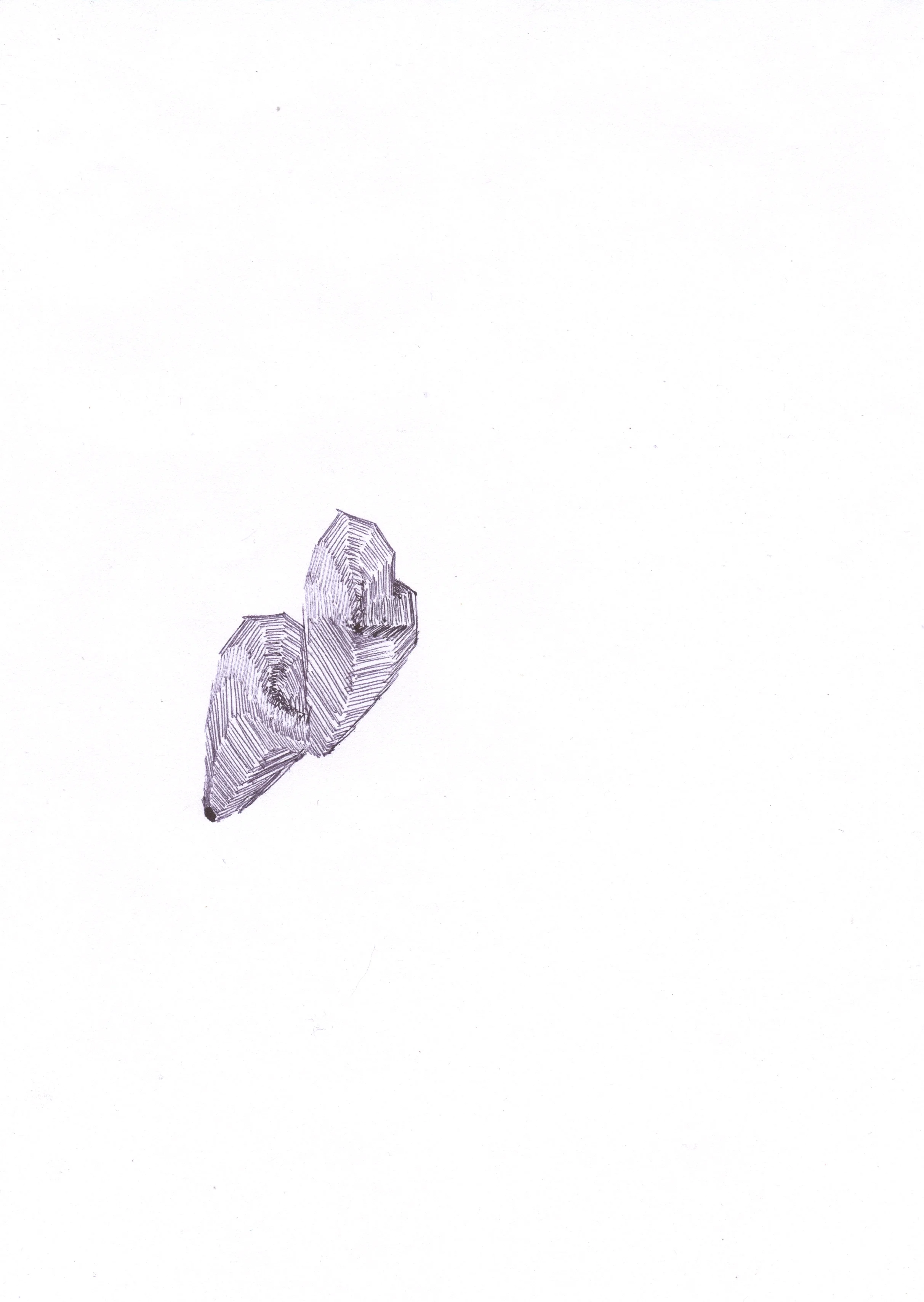 Turned Growth, biro on paper, 2012.jpg