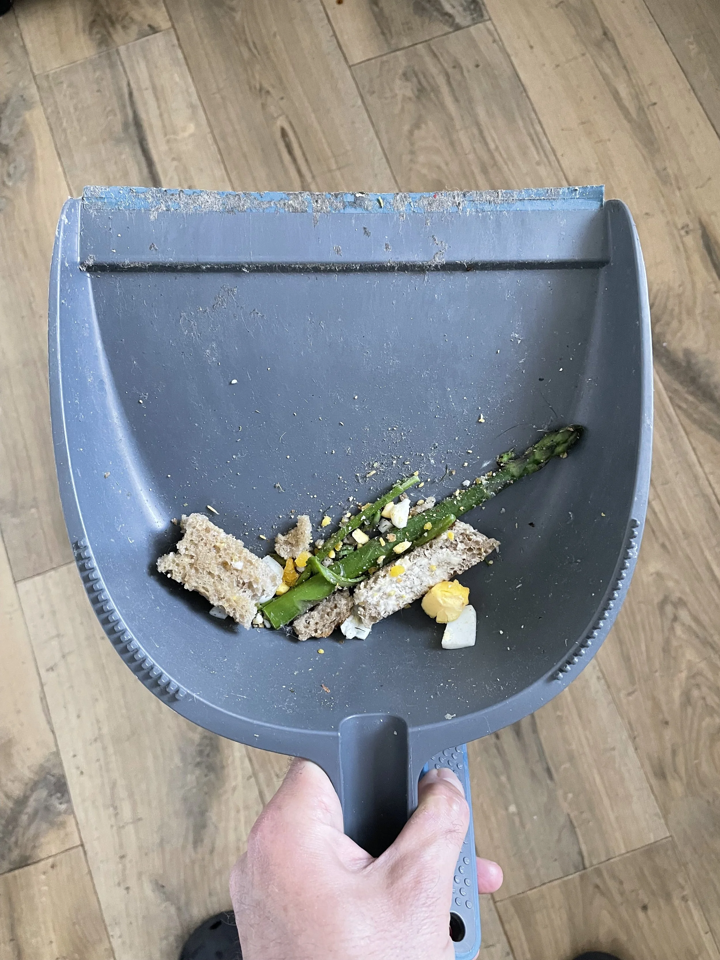 Brushed Food, 2025