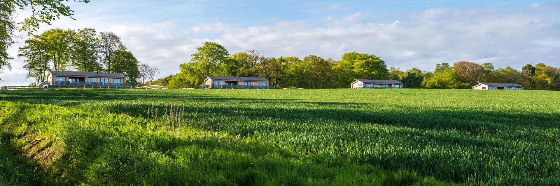 luxury-lodges-st-andrews-bonerbo-farm-the-tern-24.jpeg