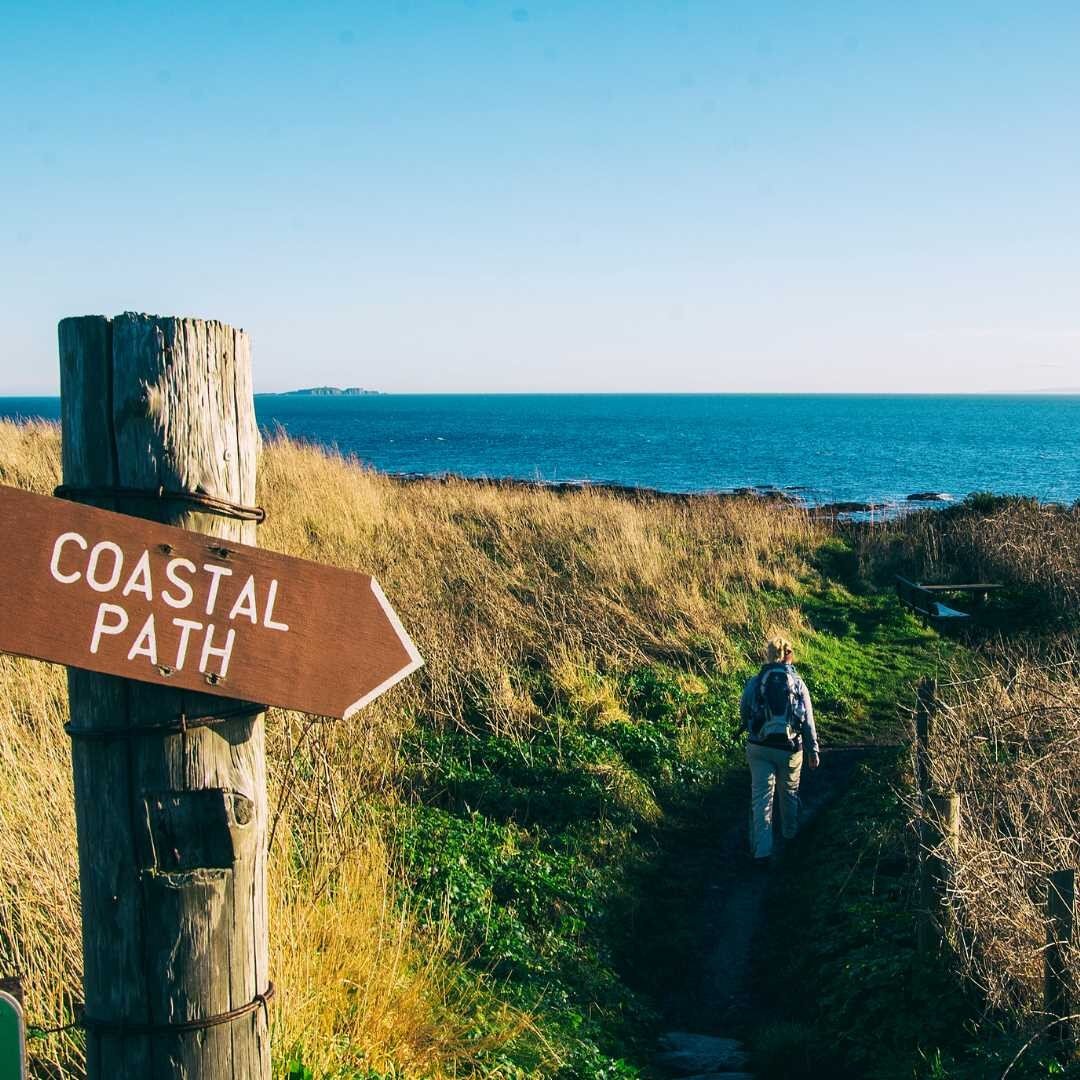 Fife's coastline is incredibly beautiful. To walk along the stunning beaches, little fishing villages, and wide marsh fields is a wonderful experience.

The Fife Coastal Path stretches for 117 miles from the River Forth in the south to the River Tay 