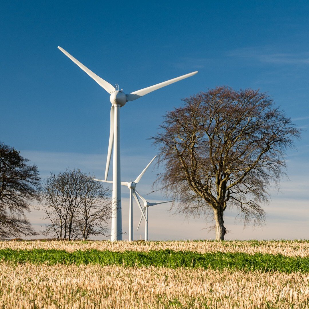 Our lodges are located on Bonerbo Farm, a family-run farm that has been in the Stevenson family for over 100 years.  We grow cereals, with the wheat destined for distilling and oats produced for @quakeroatsuk eroatsuk. 

The farm also produces green 