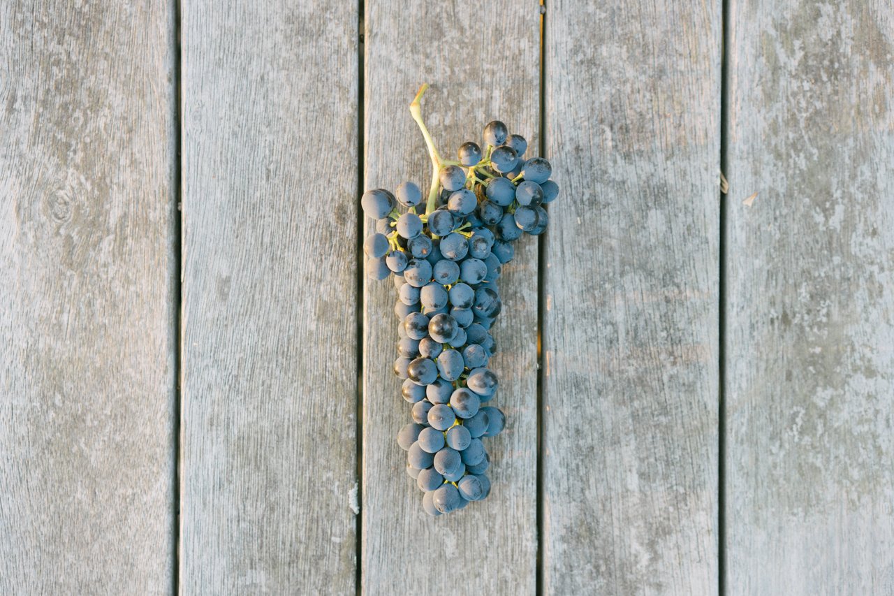 Wines — Chirping Bird Wines