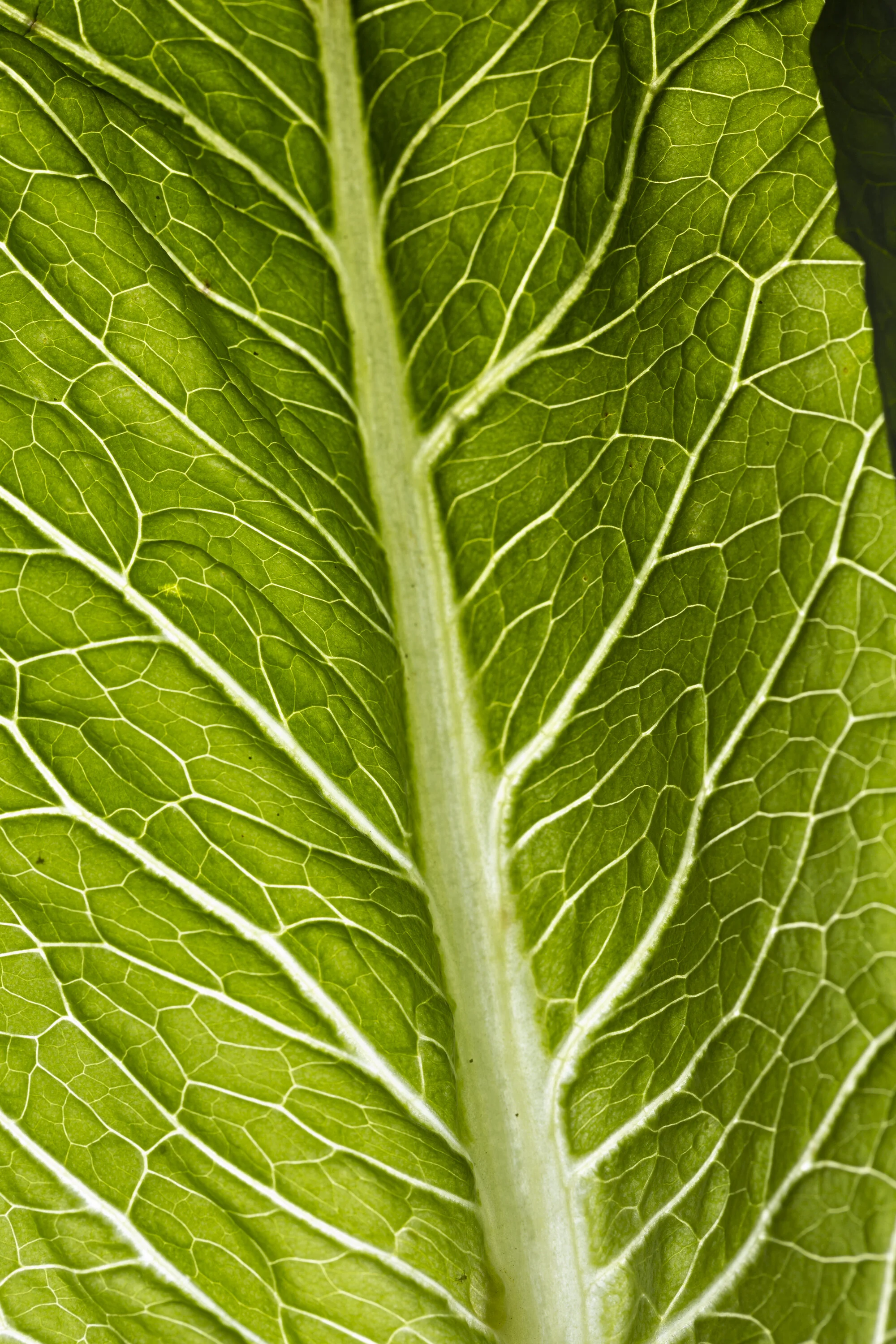 20200418_252_EAB.jpg