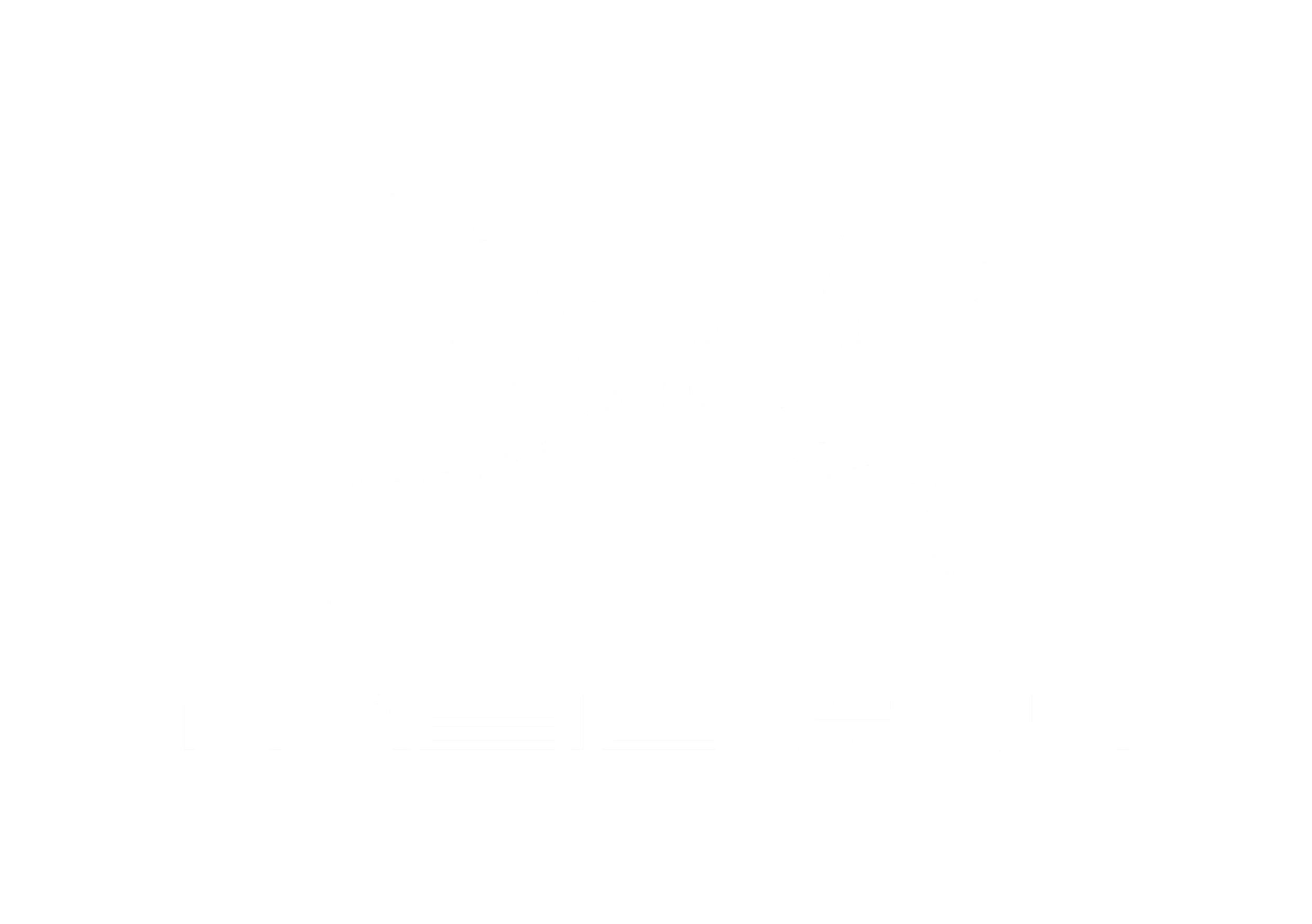 Treibgut Düsseldorf