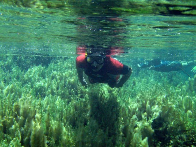 Bonito Aventura