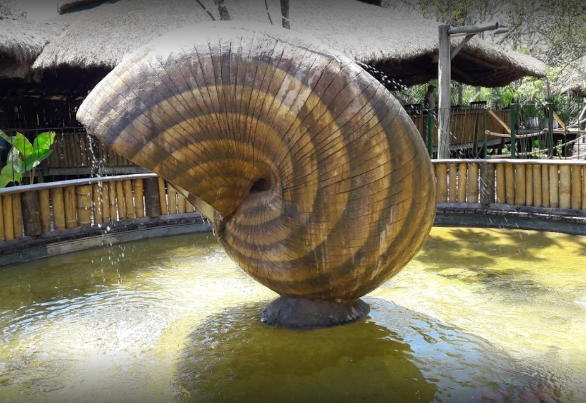 Reserva Ecológica Baía Bonita - Aquário Natural