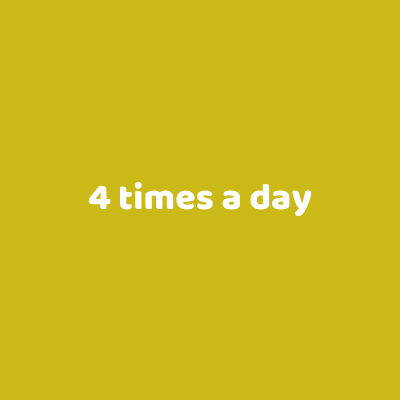 4 times a day