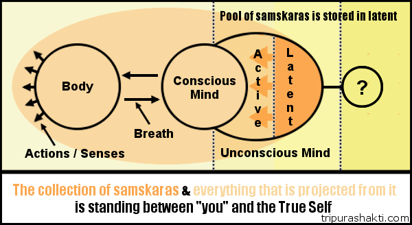 samskaras-in-between-you-and-self.png