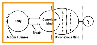 circle-chart-conscious-mind.jpg