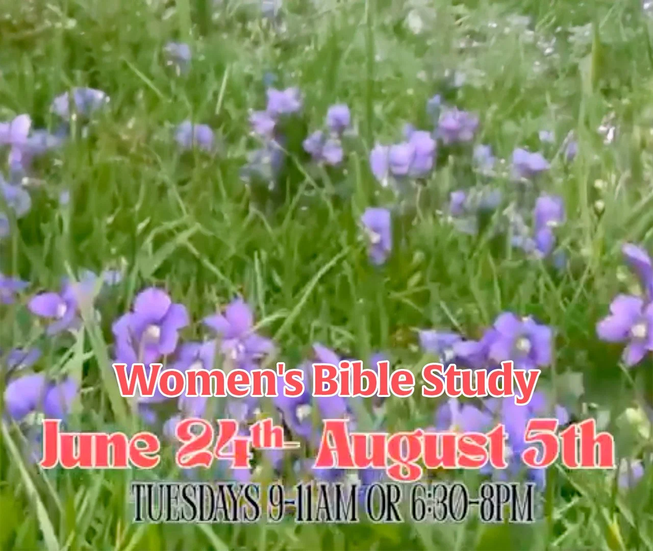 Women's summer Bible study