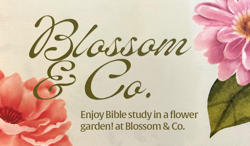 Blossom &amp; Co. Women’s Bible Study 