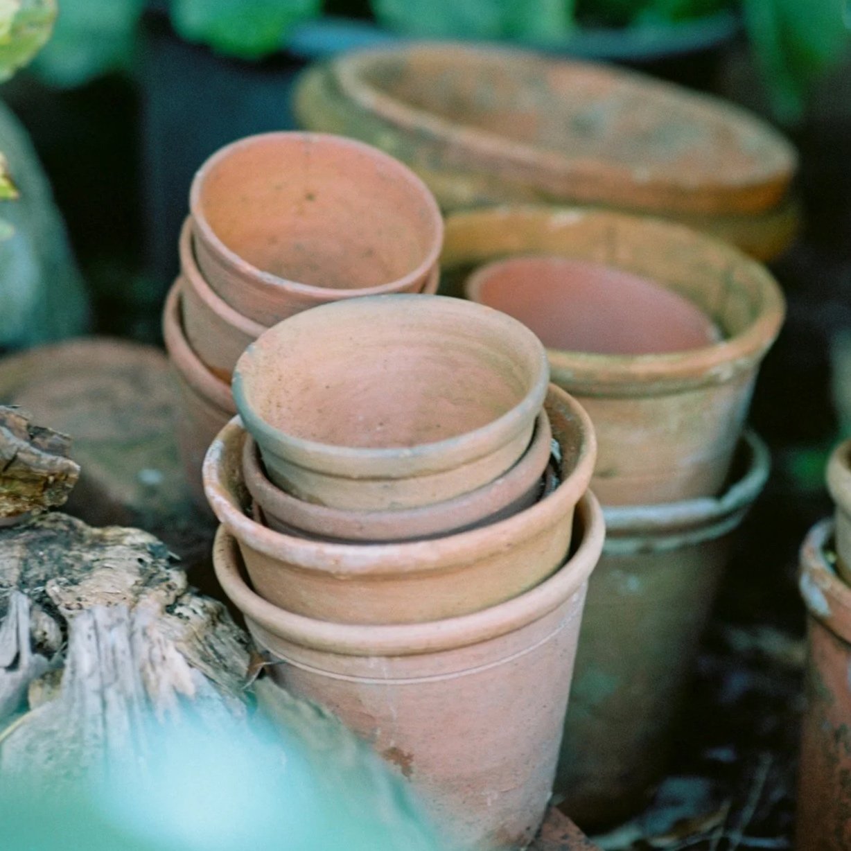 Multipurpose compost