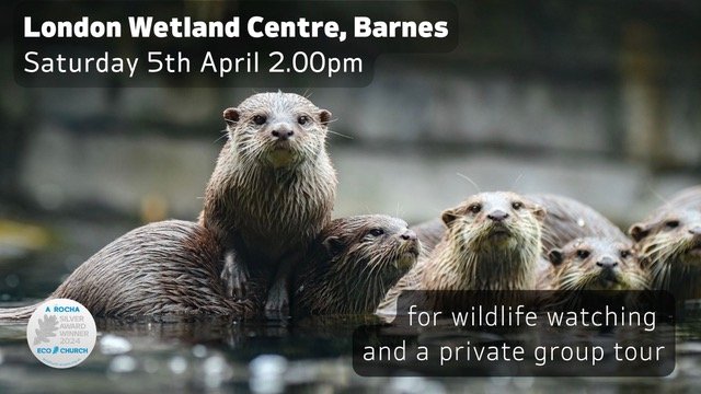 BARNES WETLAND CENTRE
