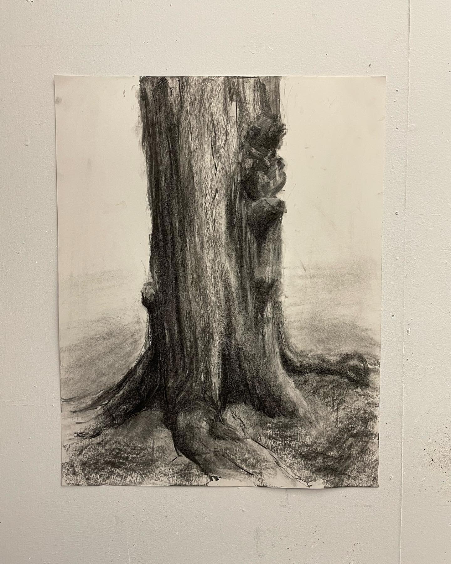 Tree. Charcoal on paper