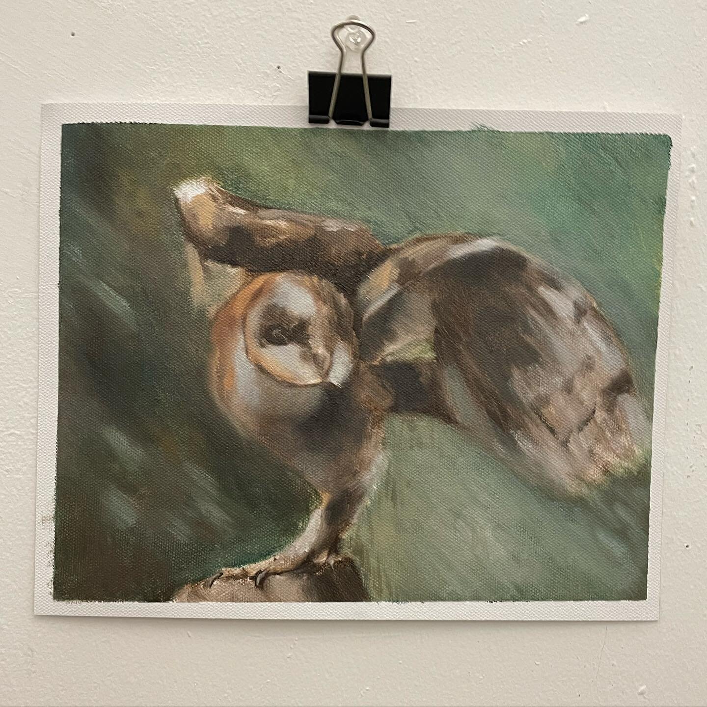 Trying to figure out how to paint owls for an upcoming project