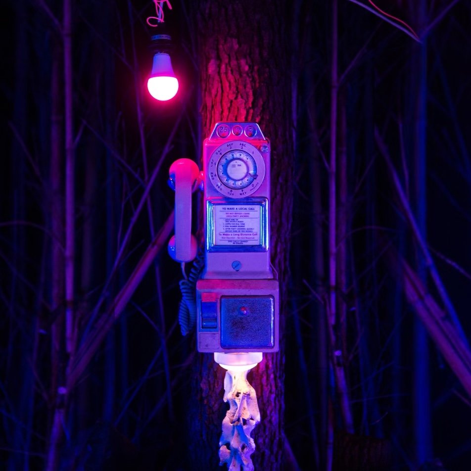 Desert Psalm Song Image.jpeg