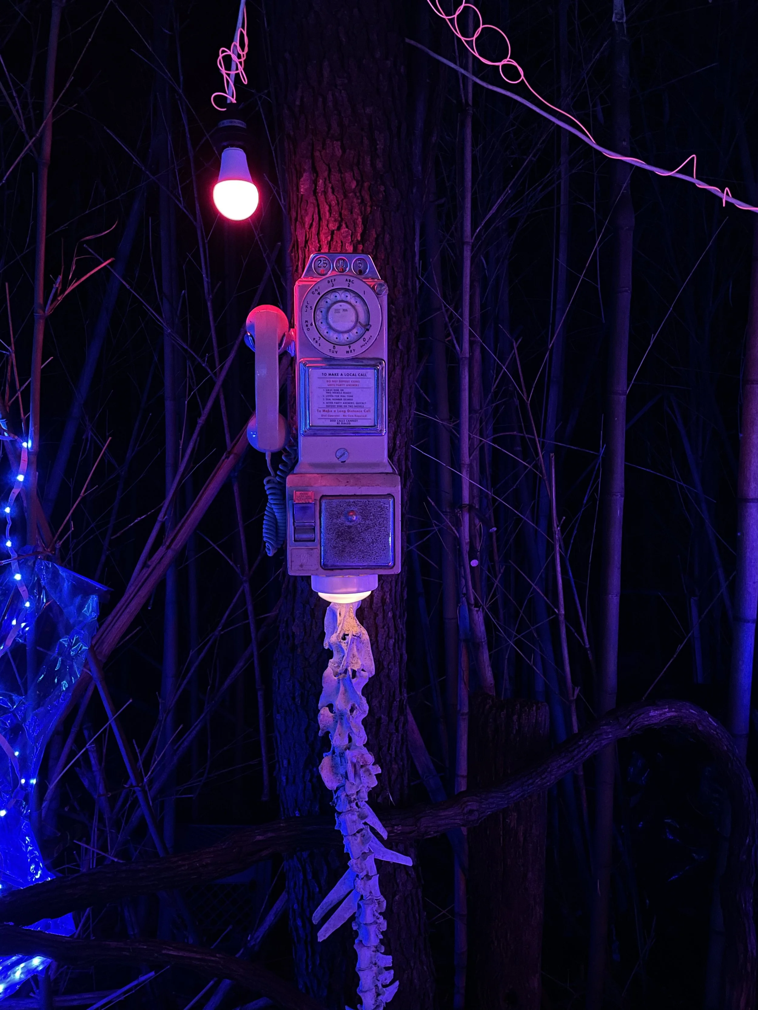 Star Rover Sound in Nashville 