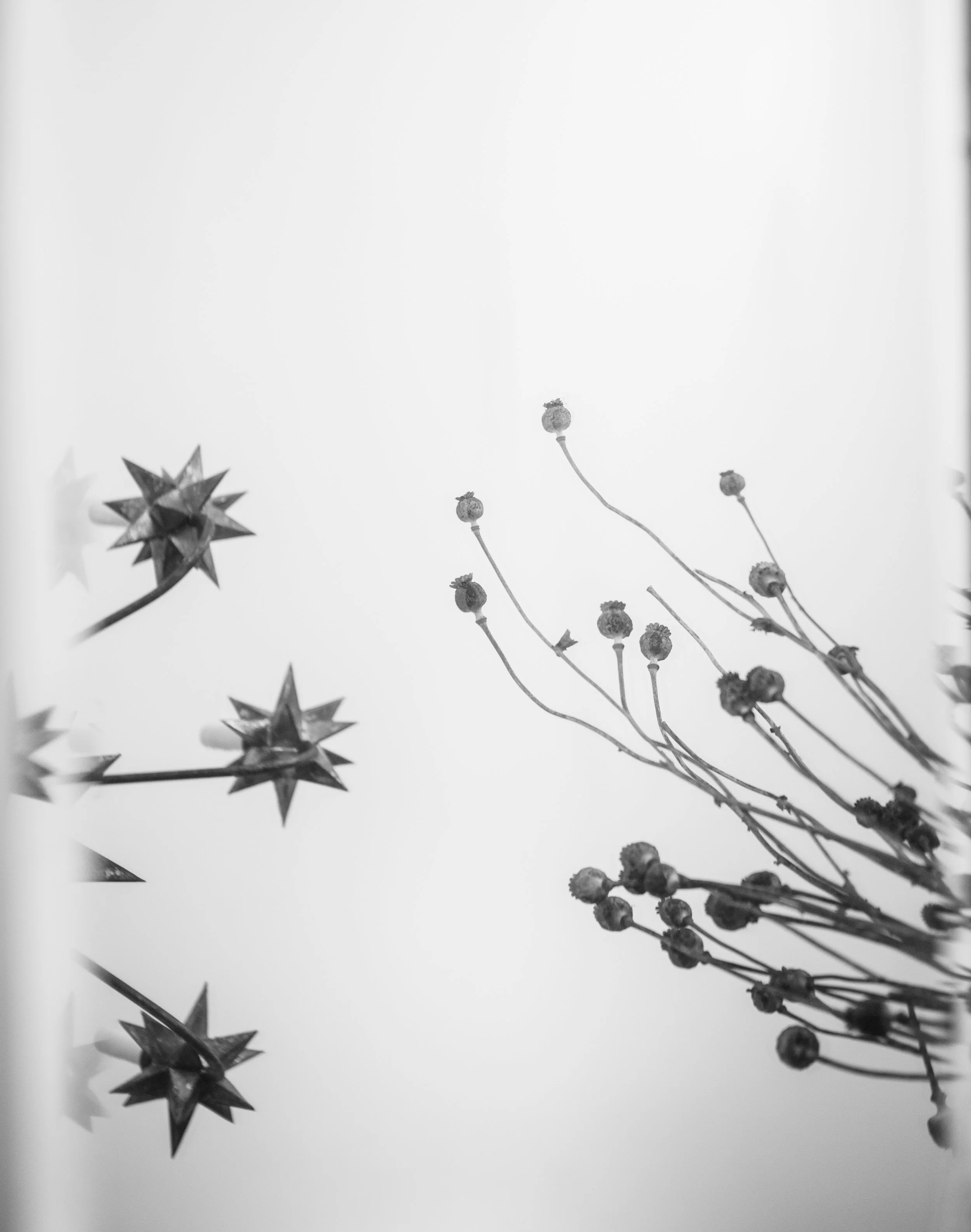 Writer's Round in Knoxville