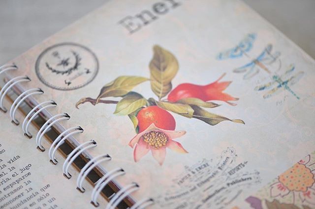 Se vienen las agendas 2020! El lunes 16/12 salen a la venta!! Son ideales para hacer un regalo especial porque son m&aacute;s que una simple agenda ✨ Aca les dejamos unas fotitos para que chusmeen un poco 🌸🌷🌹🌺🌼🌻
