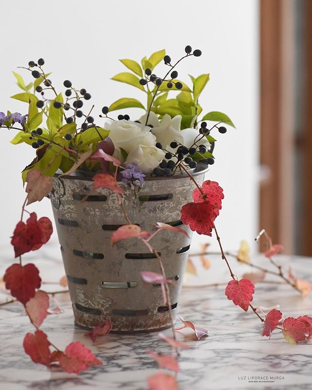 LLev&aacute; el oto&ntilde;o adentro.
Arm&aacute; un ramito con lo que tengas, plantas del jard&iacute;n, hojas que juntaste o que ten&eacute;s guardadas. Prepar&aacute; adentro de tu casa un rinconcito, y llev&aacute; ah&iacute; esa energ&iacute;a d