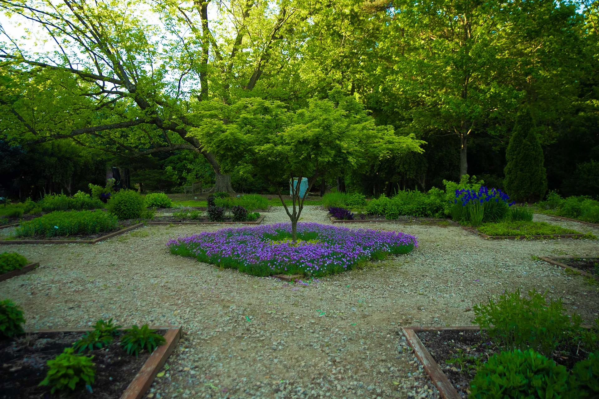 Water Wise Demonstration Garden — Hatcher Garden