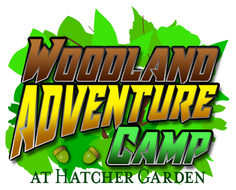 Woodland Adventure Summer Camp.png