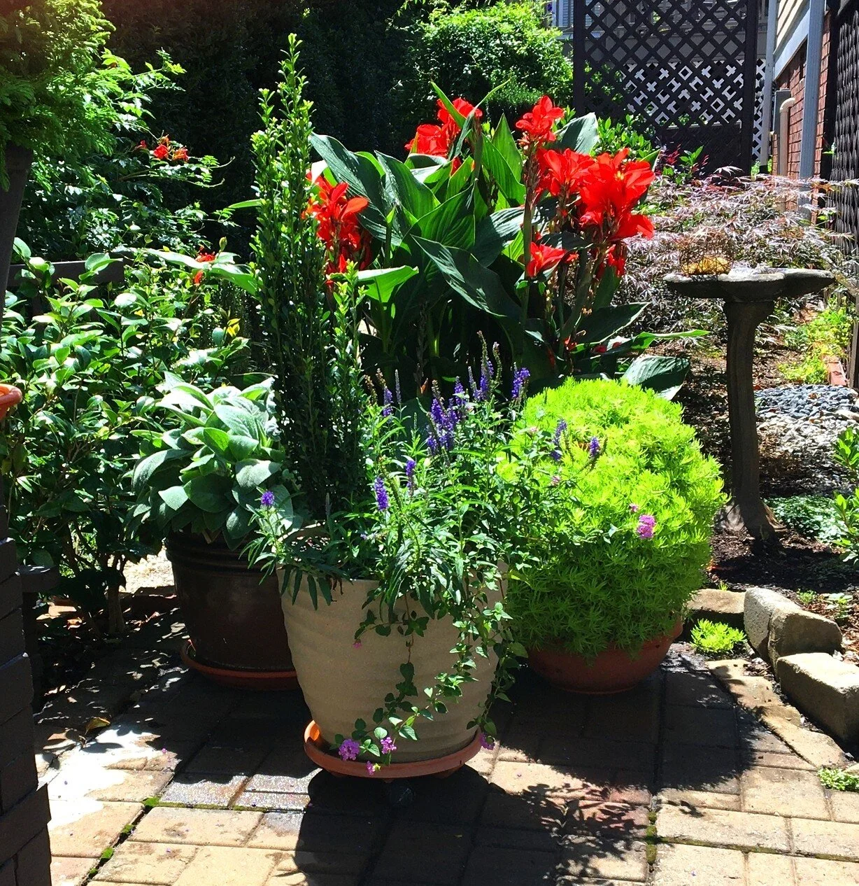 The Winner of the National Garden Week Garden Container Announced