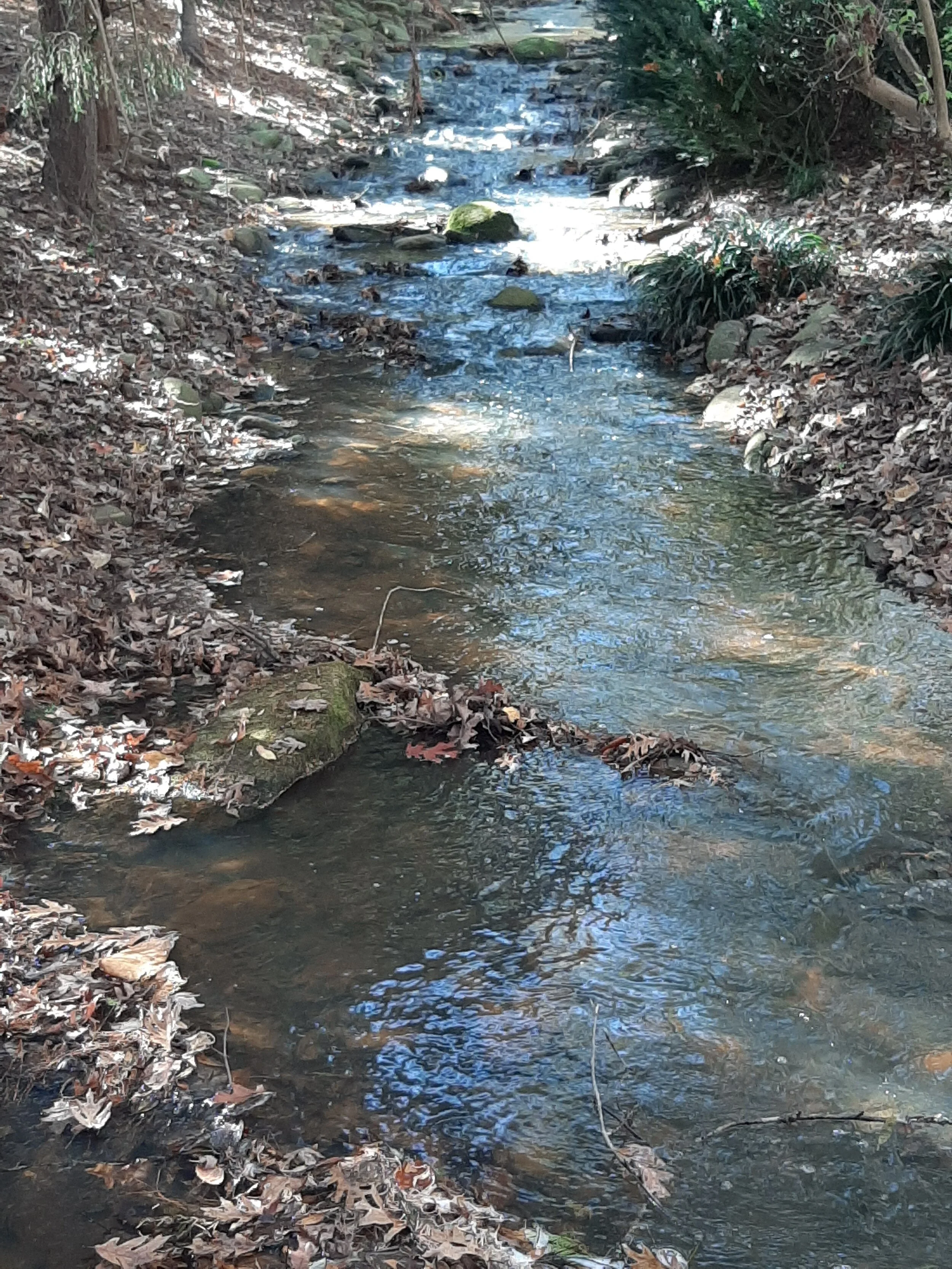 Water Flows Once Again at Hatcher Garden