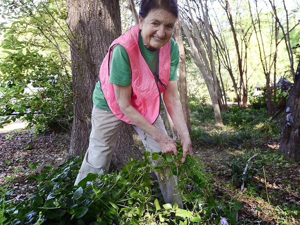 In Memory of Alice Hatcher Henderson