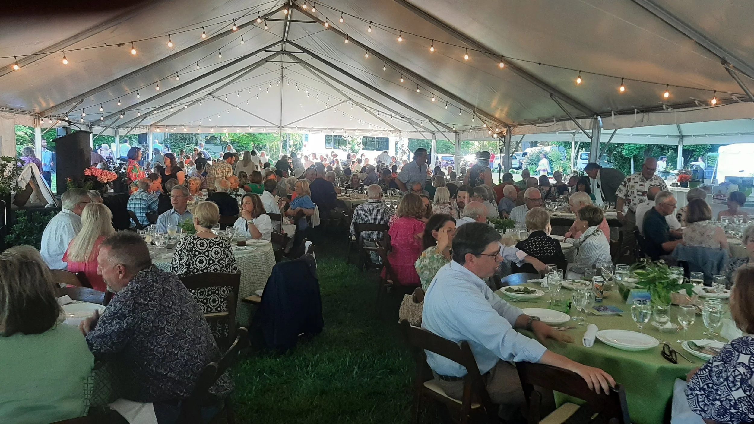 Highlights From Twilight in the Garden 2024