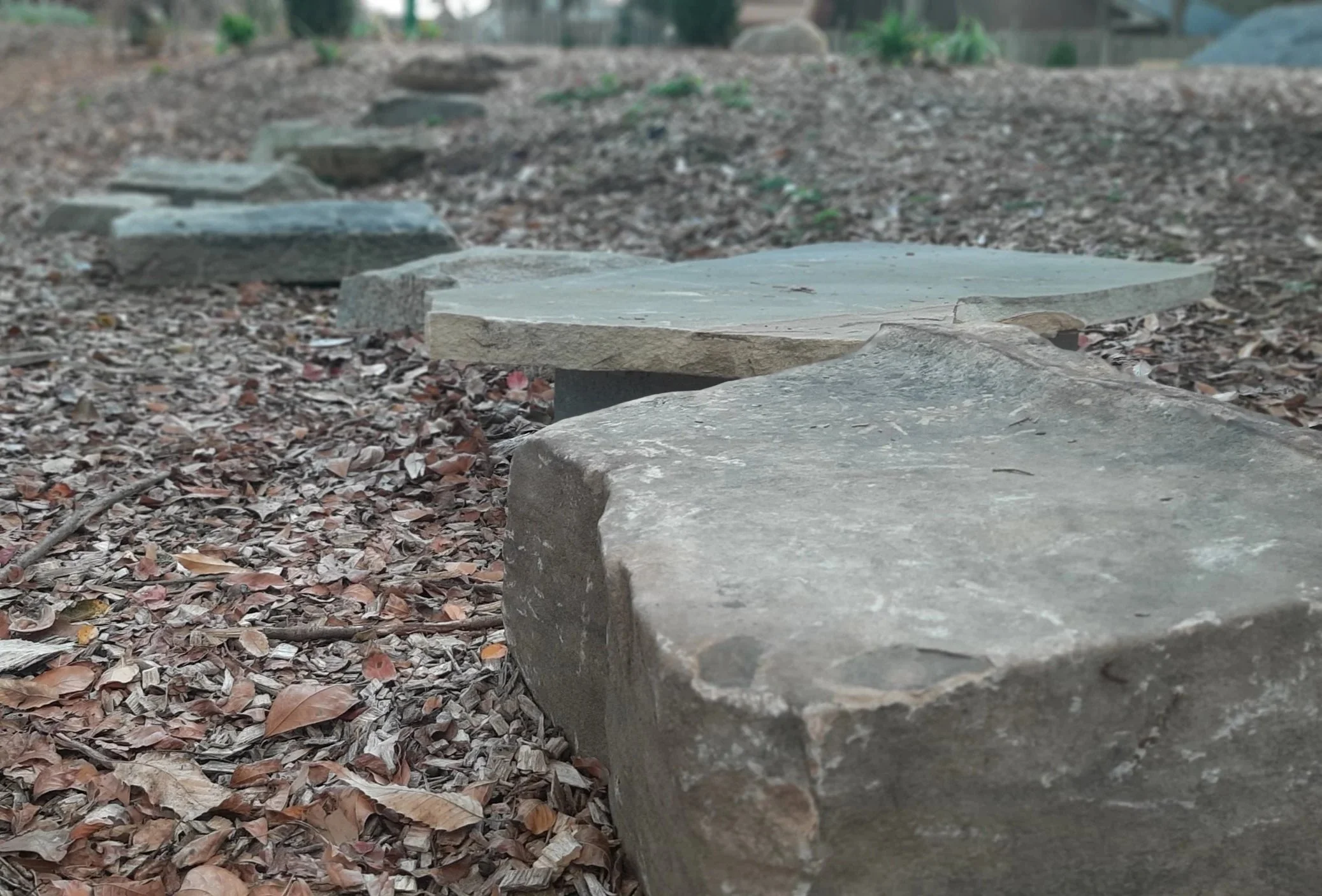 The Altrusa Adventure Trail