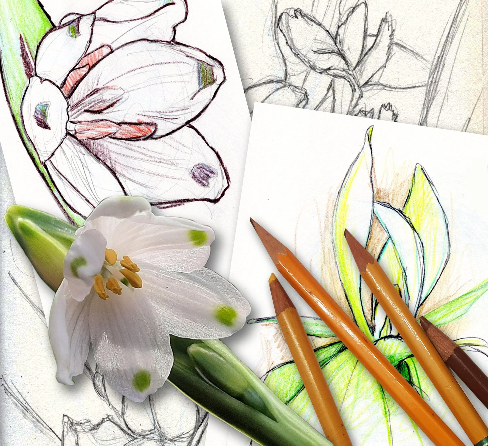 Hatcher Garden Art Camp