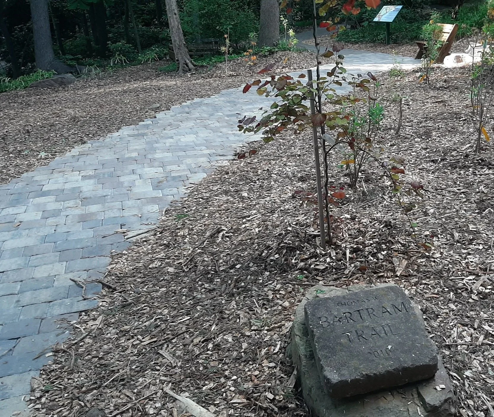 Renovation of the Entrance of Thomas W. Bartram Trail