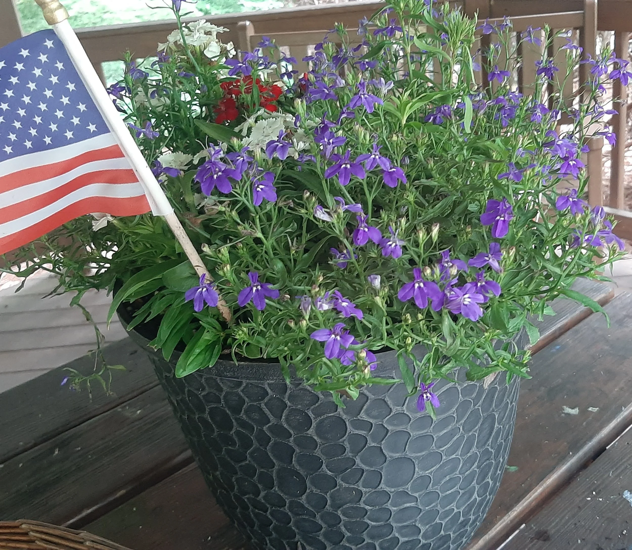 Garden Planter Giveaway