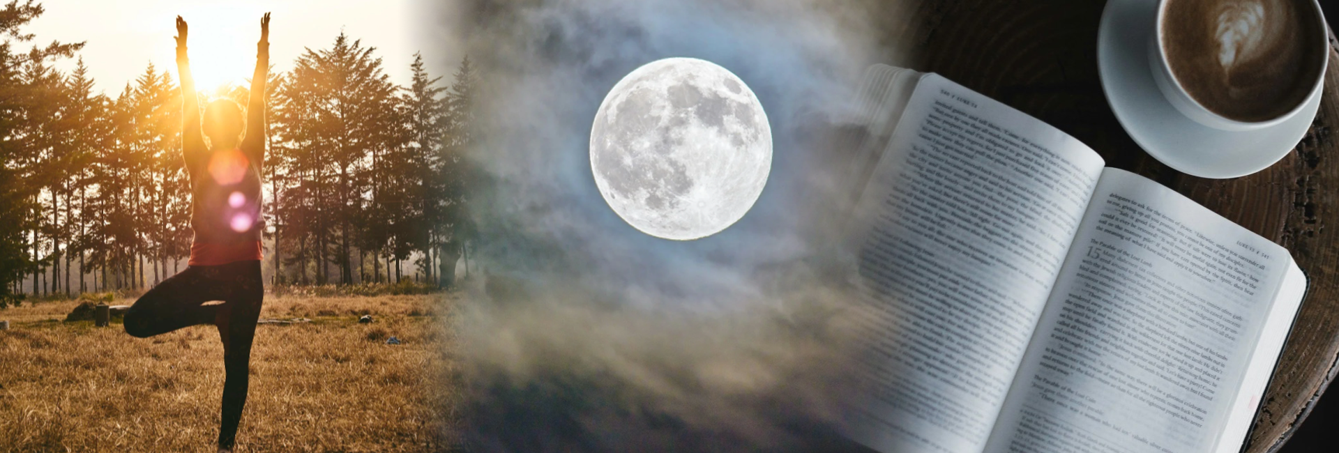 hatcher PROGRAM change.png