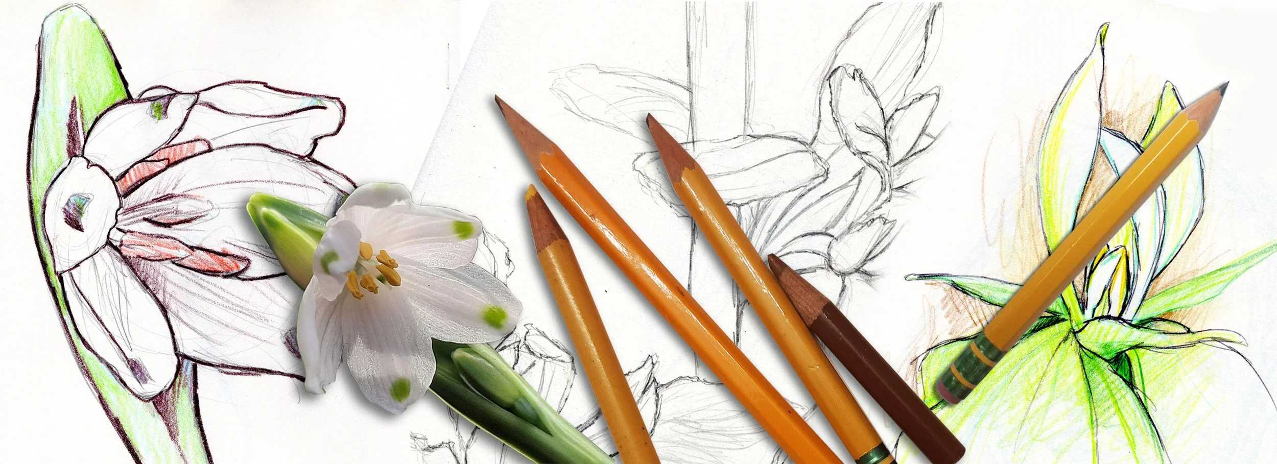 ARTSY_header.jpg