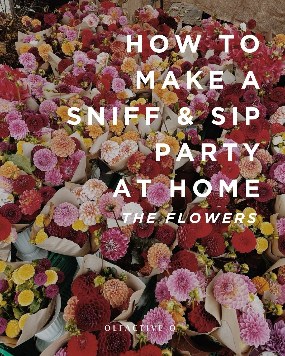 Start your Sniff &amp; Sip adventures here 💫

Or DM us and we&rsquo;ll bring the scent, the wine and the magic to you 🌺 🍷

#olfactiveo #personalityperfume #sniffandsip #flowers #hosting