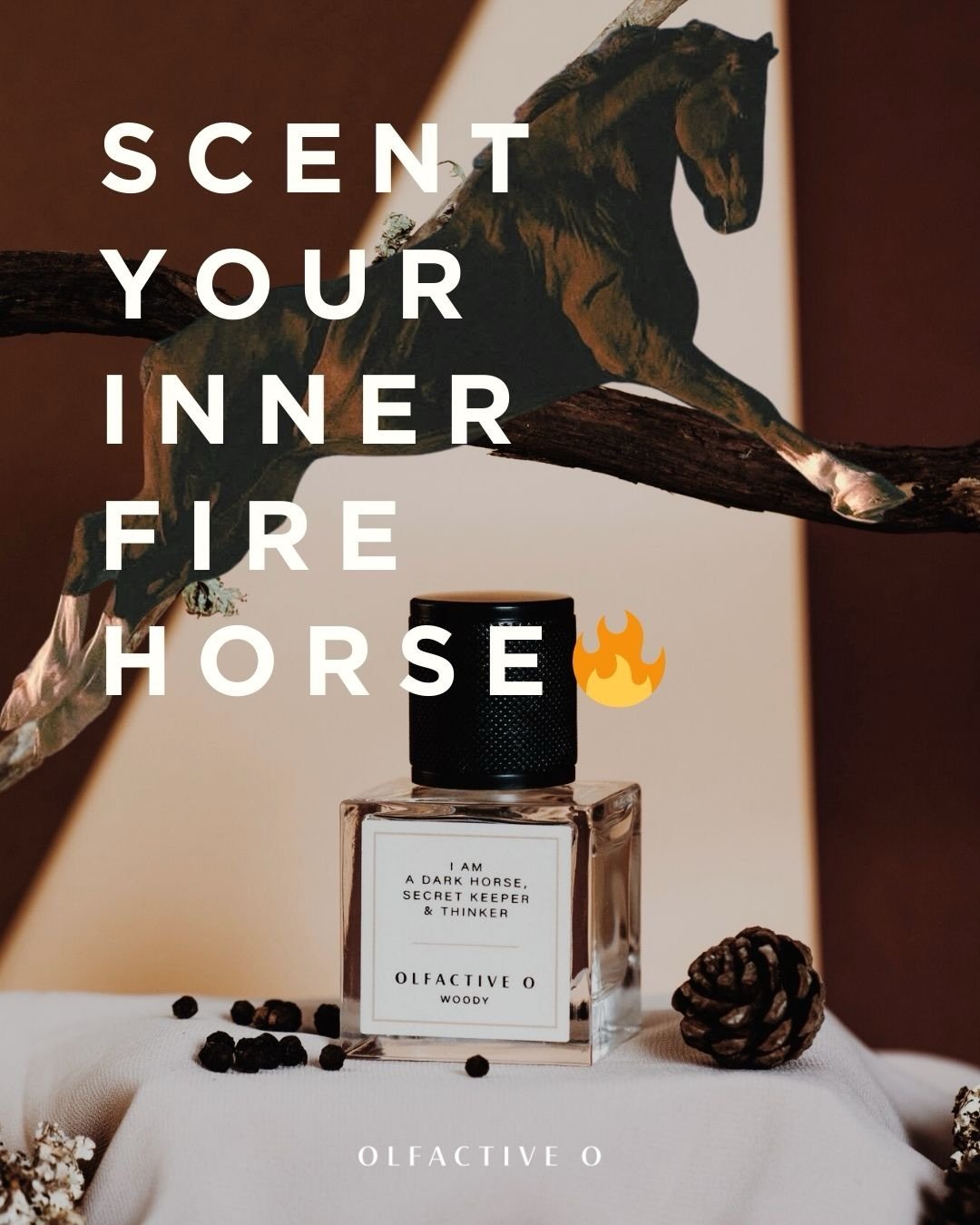 I&rsquo;m here for it 🐎🔥

My mum said &lsquo;no navel-gazing&rsquo;. 
The Fire Horse agrees. 
Spray Woody, go forth. 

#firehorse #lunarnewyear