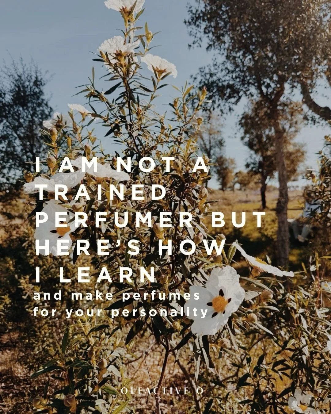 There&rsquo;s no &lsquo;correct&rsquo; way or a perfect roadmap, just love, sticking your nose in and finding what&rsquo;s right for you.