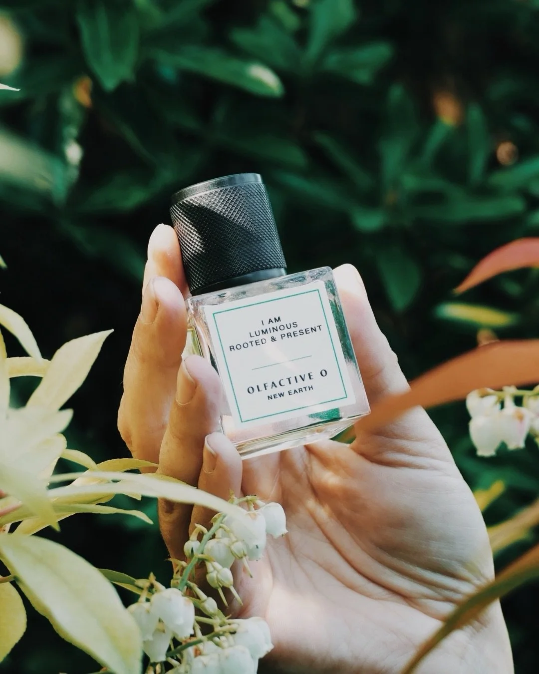 NEW EARTH pre-orders are OPEN 🙌

Ships from 17th May
(or collect at Barnes Fragrance Fair, 16th May)

I&rsquo;ve made a little something for the first bottles, with the help of some incredible contributors - swipe to see. More detail on the website 